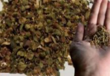 მას უწოდებენ ერთ ერთ ყველაზე “ძლიერ” საკვებს, რადგან ის შეიცავს 42-ჯერ მეტ ანტიოქსიდანტს, ვიდრე სხვა რომელიმე საშუალება!