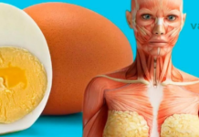 აი, რატომ უნდა მიირთვათ კვერცხი დღეში 3-ჯერ. საინტერესოა…