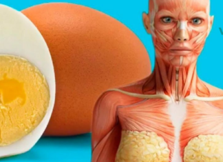 აი, რატომ უნდა მიირთვათ კვერცხი დღეში 3-ჯერ. საინტერესოა…