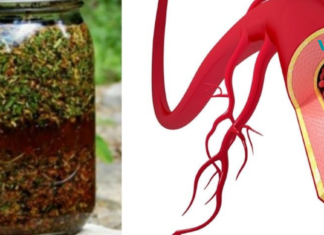 კამა, თაფლი და ვალერიანი-მოამზადეთ საუკეთესო საშუალება სისხლძარღვებისთვის!