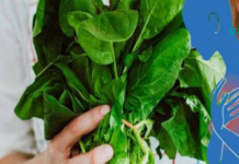 15 საკვები მაგნიუმით, რომელსაც შეუძლია შეამციროს შფოთვის, დეპრესიის, გულის შეტევის და სხვა დაავადებების რისკი..