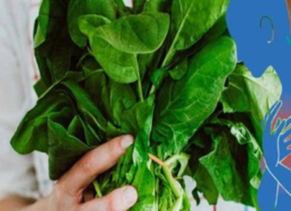 15 საკვები მაგნიუმით, რომელსაც შეუძლია შეამციროს შფოთვის, დეპრესიის, გულის შეტევის და სხვა დაავადებების რისკი..