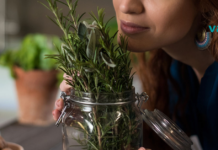 მეცნიერებმა დაამტკიცეს, რომ ამ 5 სურნელს სამკურნალო თვისებები აქვთ!