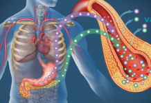 რა უნდა იცოდეს ყველამ ჰორმონ ინსულინის შესახებ?