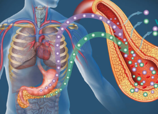 რა უნდა იცოდეს ყველამ ჰორმონ ინსულინის შესახებ?