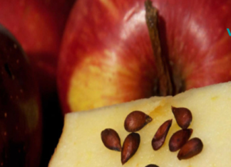 თესლის 4 სახეობა უფრო დიდი ანტიკარცინოგენური ძალით. გაოცებულნი დარჩებით!