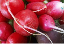 ამ ბოსტნეულის დახმარებით გადააქციეთ ცხიმი ბუნებრივ ენერგიად!!