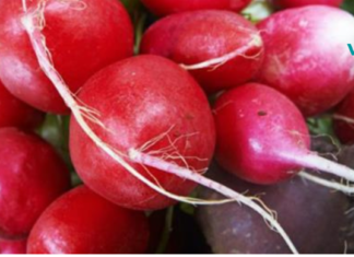 ამ ბოსტნეულის დახმარებით გადააქციეთ ცხიმი ბუნებრივ ენერგიად!!