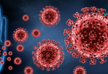 როგორ გავიძლიეროთ იმუნიტეტი ხალხური მეთოდებით? გაიგეთ მეტი…