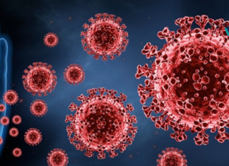 როგორ გავიძლიეროთ იმუნიტეტი ხალხური მეთოდებით? გაიგეთ მეტი…