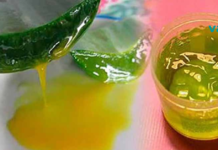 დღეში ორი ჩაის კოვზი ამ უძველესი საშუალებისა და დაივიწყებთ გასტრიტს, წყლულს და ყაბზობას!