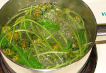 ბალახი, რომელიც ათასობით უფრო ძლიერია, ვიდრე სხვა საშუალებები! ებრძვის დაავადებებს სხეულისთვის ზიანის მიყენების გარეშე