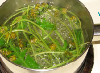 ბალახი, რომელიც ათასობით უფრო ძლიერია, ვიდრე სხვა საშუალებები! ებრძვის დაავადებებს სხეულისთვის ზიანის მიყენების გარეშე