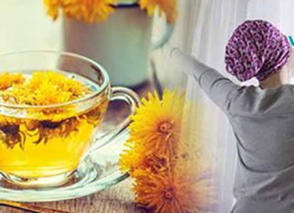 ბალახი, რომელიც 100-ჯერ უფრო ძლიერია ქიმიკატებზე და კლავს დაავადებებს მხოლოდ 2 დღეში!