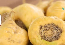 მწვანილი, რომელიც ყველა ქალს სჭირდება ჰორმონალური პრობლემის აღმოსაფხვრელად!