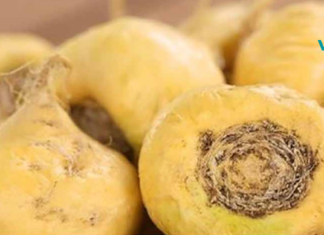 მწვანილი, რომელიც ყველა ქალს სჭირდება ჰორმონალური პრობლემის აღმოსაფხვრელად!