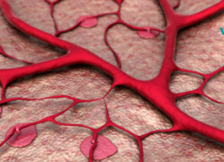 როგორ გავაუმჯობესოთ სისხლძარღვთა ტონუსი? მეტი ინფორმაცია VVD-ვეგეტატიურ-სისხლძარღვთა დისტონიაზე..