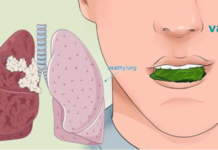 კვლევა: ეს დაავადების საწინააღმდეგო ჩაი კლავს ფილტვის მავნე უჯრედების 86%-ს