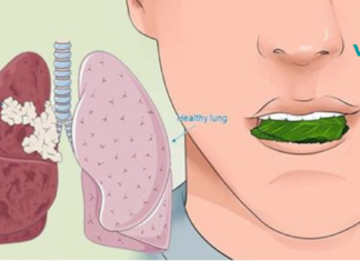 კვლევა: ეს დაავადების საწინააღმდეგო ჩაი კლავს ფილტვის მავნე უჯრედების 86%-ს