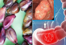 ესაა თესლები, რომლებიც აღმოფხვრიან ყველაზე მომაკვდინებელ დაავადებებსაც კი!..