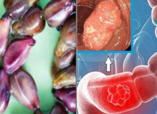 ესაა თესლები, რომლებიც აღმოფხვრიან ყველაზე მომაკვდინებელ დაავადებებსაც კი!..