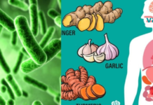 მცენარეული ანტიბიოტიკები, რომლებიც თქვენს ორგანიზმს წმენდენ ბაქტერიებისგან.