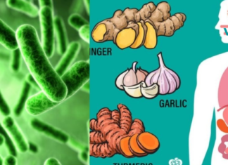 მცენარეული ანტიბიოტიკები, რომლებიც თქვენს ორგანიზმს წმენდენ ბაქტერიებისგან.