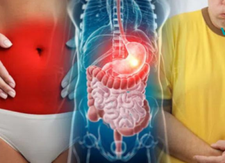 საკვები პროდუქტები, რომლებიც იცავენ კუჭის გარსს..