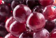 დაიცავით თქვენი სხეული და ჯანმრთელობა ყოველდღე ყურძნის ჭამით! უცნაური მაგრამ ეფექტური მეთოდი..