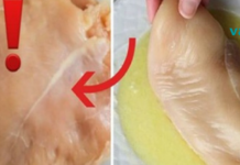 გაფრთხილება! თუ ქათმის მკერდი დაფარულია ამ ძაფებით, არ იყიდოთ. გაიგეთ მიზეზი და გაუფრთხილდით ჯანმრთელობას…