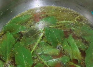 ისწავლეთ როგორ მოამზადოთ პიტნა ცუდი საჭმლის მონელების, თავის ტკივილისა და სხვა დაავადებებთან საბრძოლველად