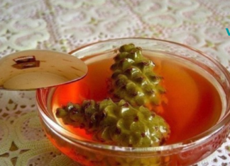 როგორ გავაფართოვოთ სისხლძარღვები ტვინის კარგი მუშაობისთვის?!..