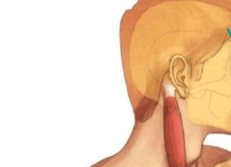 როგორ მოვიშოროთ სტრესი, გავასწოროთ კუნთები და გავაუმჯობესოთ სახის გარეგნობა?