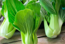 ამ 10 ბოსტნეულს უფრო მეტი რკინა აქვს ვიდრე ხორცს!! დააფასეთ თითოეული მათგანი