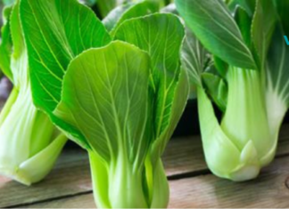 ამ 10 ბოსტნეულს უფრო მეტი რკინა აქვს ვიდრე ხორცს!! დააფასეთ თითოეული მათგანი