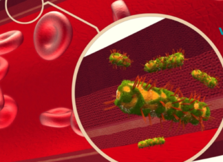 ორგანიზმში ერთ ერთი ყველაზე მნიშვნელოვანია სუფთა სისხლი!