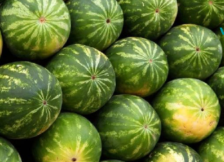 როგორ ავირჩიოთ სწორი საზამთრო: ხრიკები ფერმერისგან და მისი ჯანმრთელობის სარგებელი!!