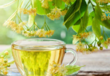 რატომაა ცაცხვი სასარგებლო ჩვენი ორგანიზმისთვის?!..