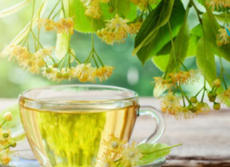 რატომაა ცაცხვი სასარგებლო ჩვენი ორგანიზმისთვის?!..