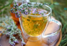 ორგანიზმის ეფექტური წმენდა მწვანილებით