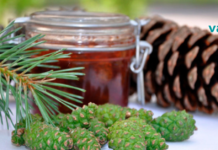 როგორ გავაუმჯობესოთ ცერებრალური მიმოქცევა ხალხური საშუალებების დახმარებით?