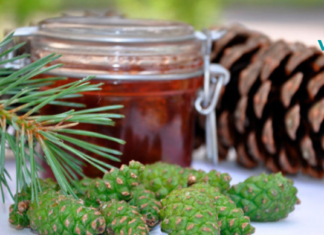 როგორ გავაუმჯობესოთ ცერებრალური მიმოქცევა ხალხური საშუალებების დახმარებით?