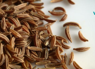 საუკეთესო სანელებელი სიმსუქნის, უძილობის, ანემიის, დიაბეტის და პარაზიტების წინააღმდეგ საბრძოლველად…