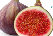 როგორ გამოვიყენოთ ლეღვის ჩირი კუჭ-ნაწლავის ტრაქტის პრობლემების მოსაშორებლად და სისხლის მდგომარეობის გასაუმჯობესებლად!