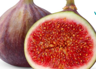 როგორ გამოვიყენოთ ლეღვის ჩირი კუჭ-ნაწლავის ტრაქტის პრობლემების მოსაშორებლად და სისხლის მდგომარეობის გასაუმჯობესებლად!