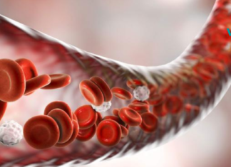 როგორ გავწმინდოთ ვენები მხოლოდ 3 ინგრედიენტით?!..