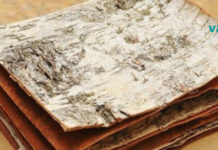 საღეჭი რეზინი არყის ქერქისგან, ჩვენი ბებიების რეცეპტის მიხედვით!