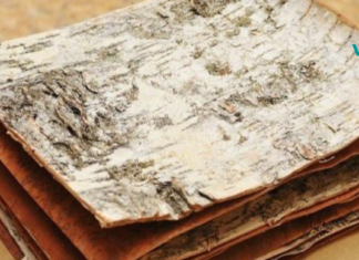 საღეჭი რეზინი არყის ქერქისგან, ჩვენი ბებიების რეცეპტის მიხედვით!