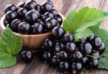 ესაა ერთ-ერთი ყველაზე ჯანსაღი კენკრა! დაავადებების პრევენცია და გულის გაძლიერება..