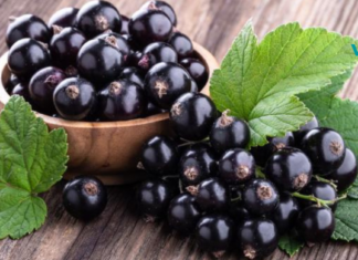 ესაა ერთ-ერთი ყველაზე ჯანსაღი კენკრა! დაავადებების პრევენცია და გულის გაძლიერება..